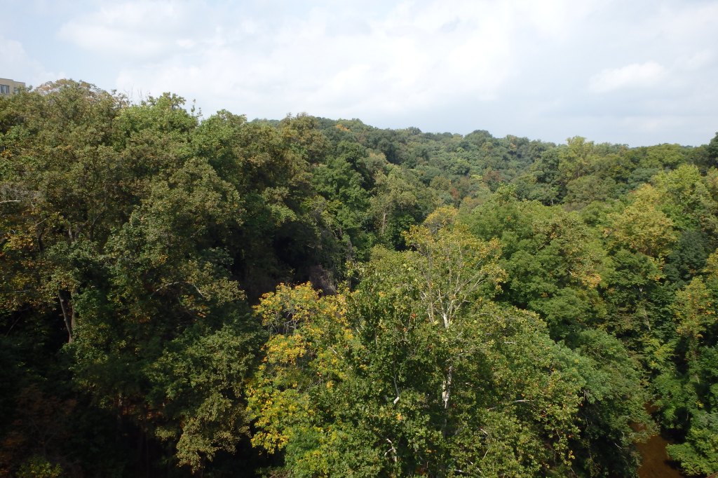 Vue depuis le pont Duke Ellington