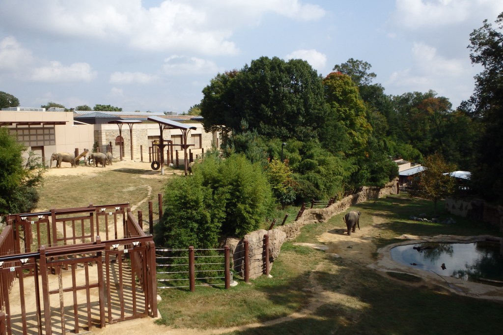 Enclos aux éléphants