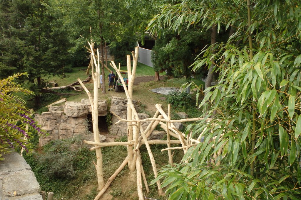 Enclos à pandas en construction