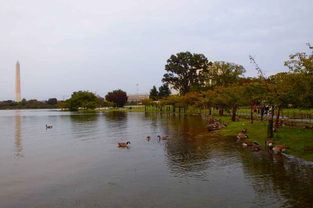 Diner des oies du Capitole devant Jefferson