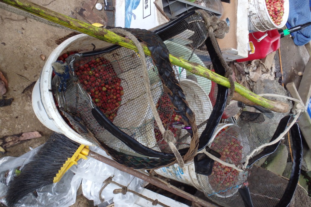 Le sceau, la selle et le bâton