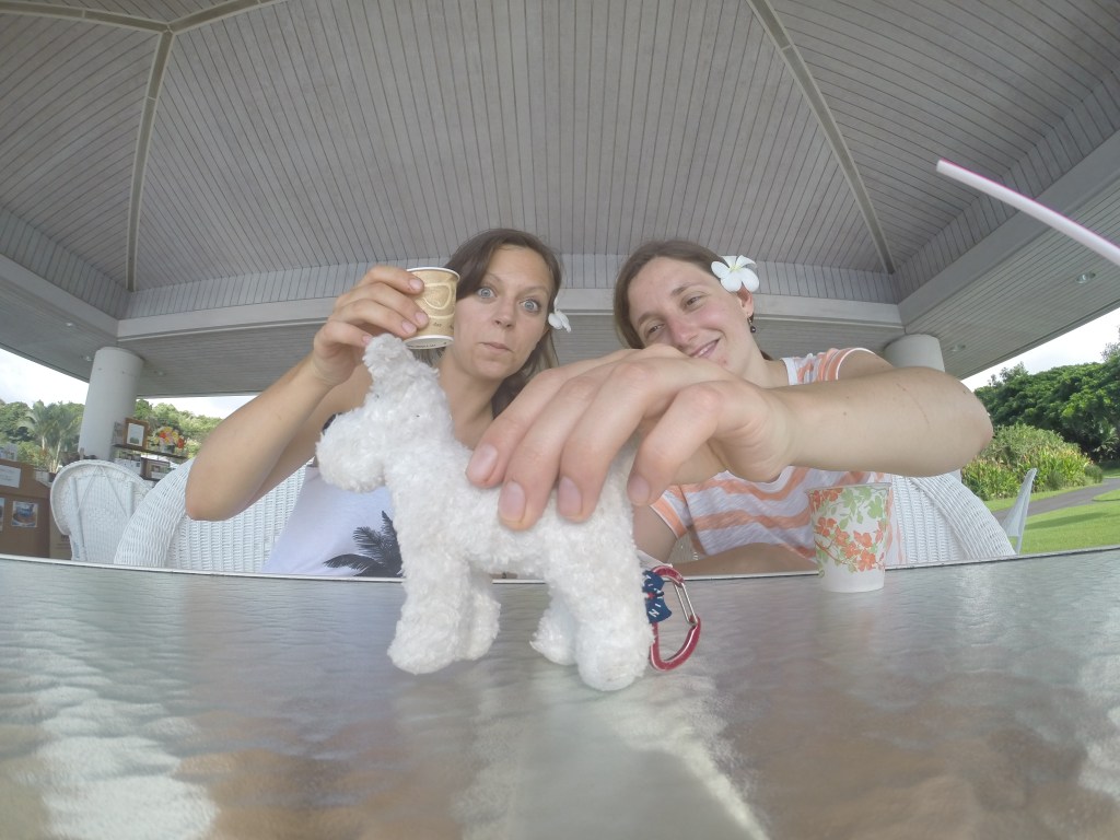 DCIM999GOPRO