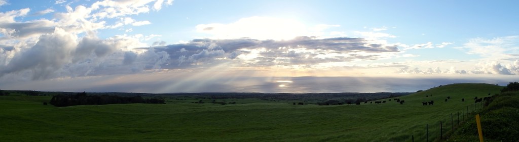 Un morceau de Nouvelle Zélande à Hawaii