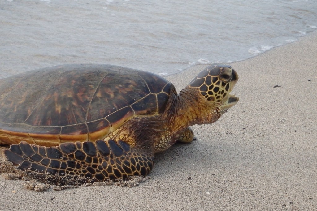 C'est trop duuuuuuurrr!