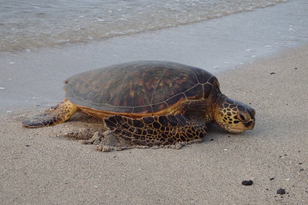 pfouf j'ai avancé d'au moins... 10cm