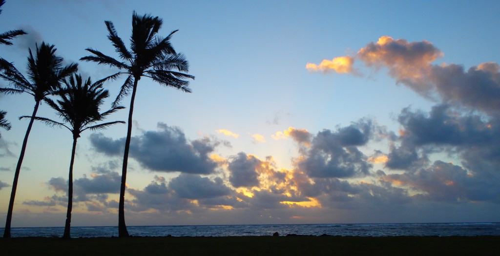 Ca y est, le soleil a gagné, il a enflammé les nuages