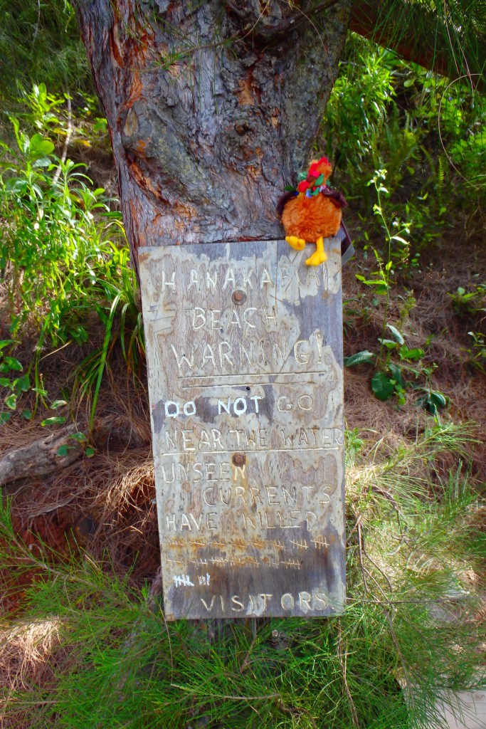 Et Rousty vous présente les panneaux toujours motivants de Kauai : le nombre de noyés ces dernières années sur une seule plage.
