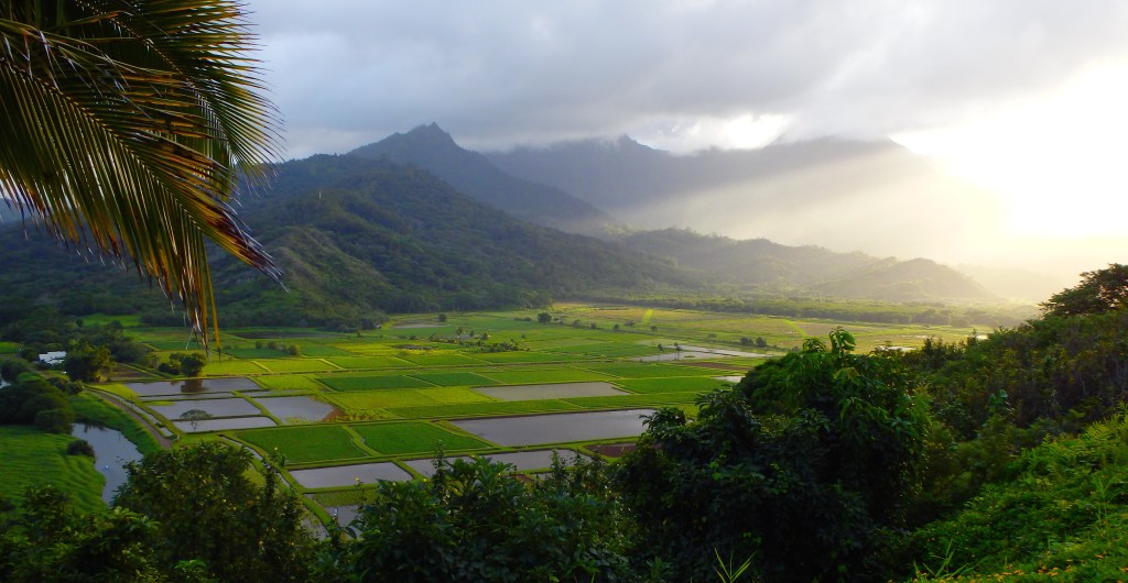 La vie à l'ombre des géants endormis