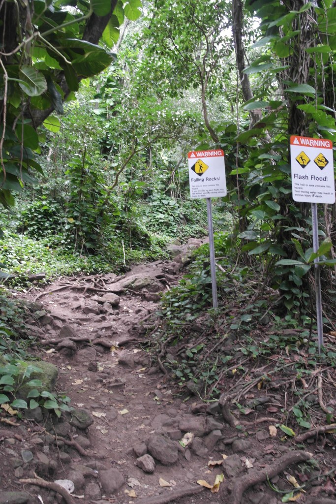 Toujours le mot pour rassurer ces américains...