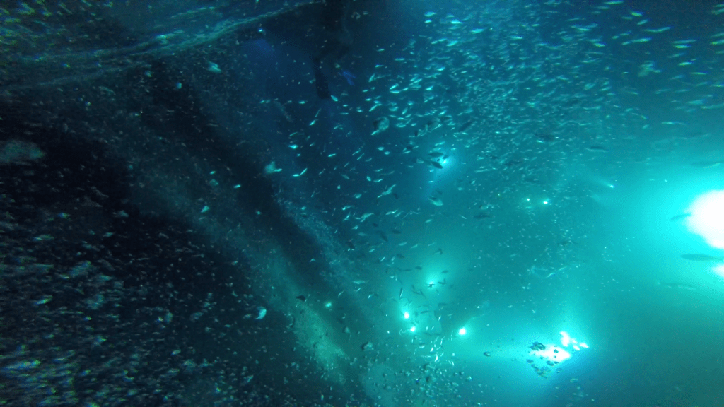 Océan de nuit ( ça rend mille fois mieux en vrai)