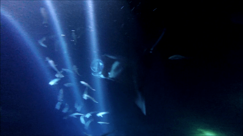 vlcsnap-2014-11-07-10h04m04s254