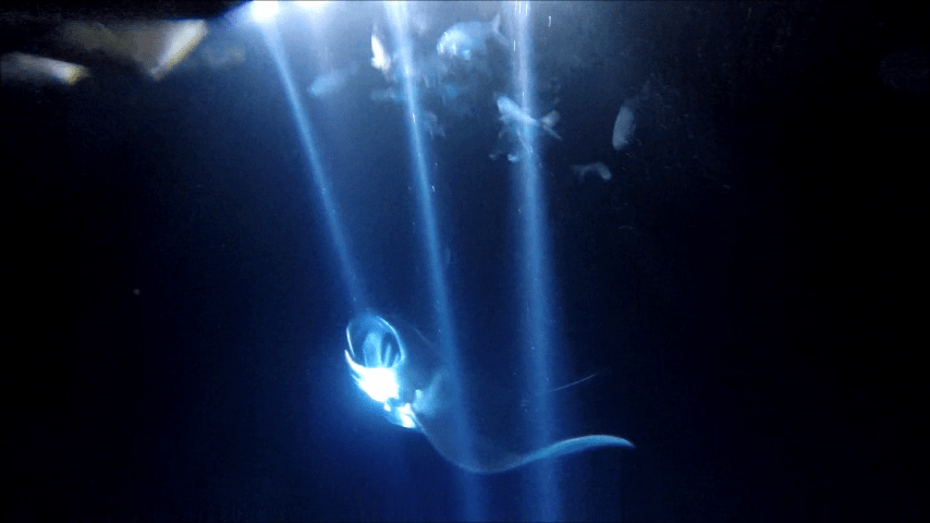 vlcsnap-2014-11-07-10h05m21s26