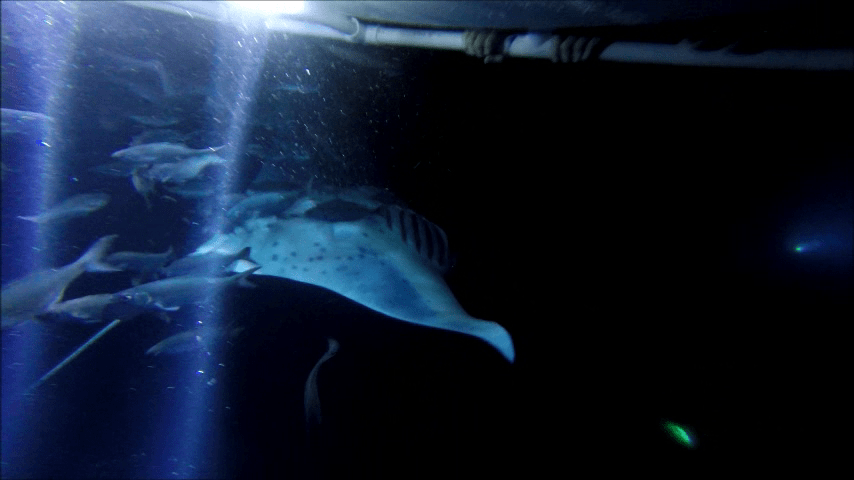 vlcsnap-2014-11-07-10h05m41s219