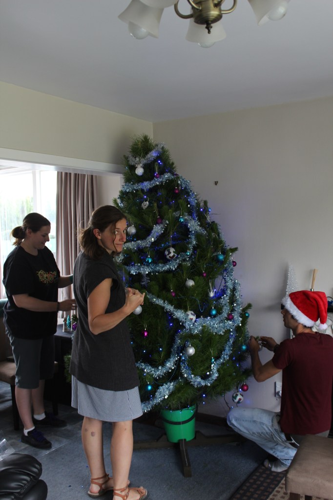 Merci les cochons pour ce beau bleu à la jambe.