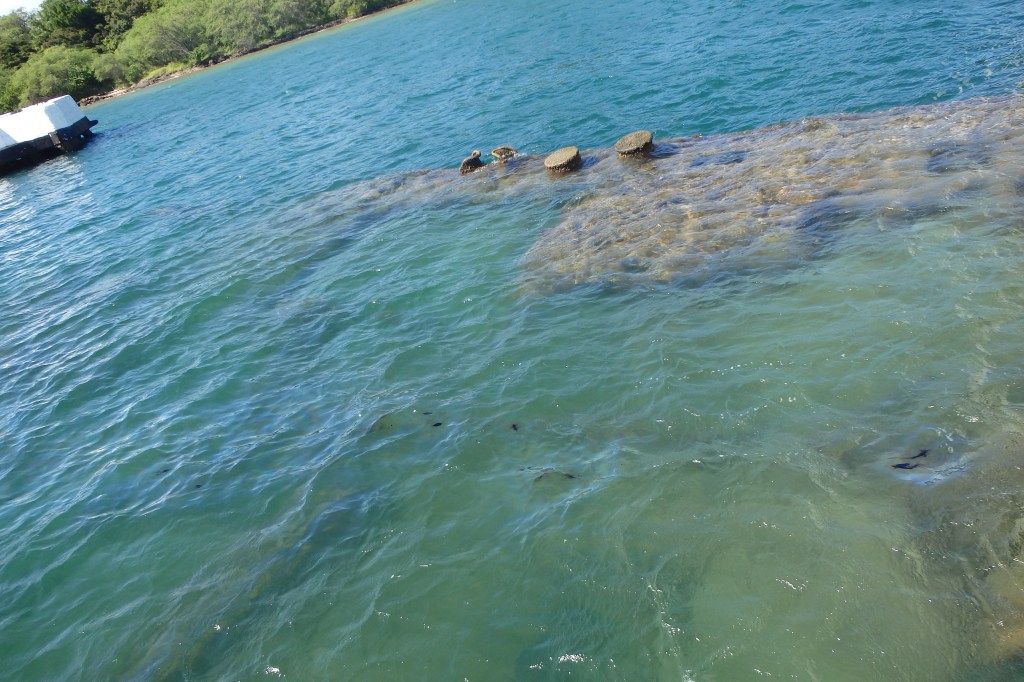 Restes de bateau et tâches de fioul