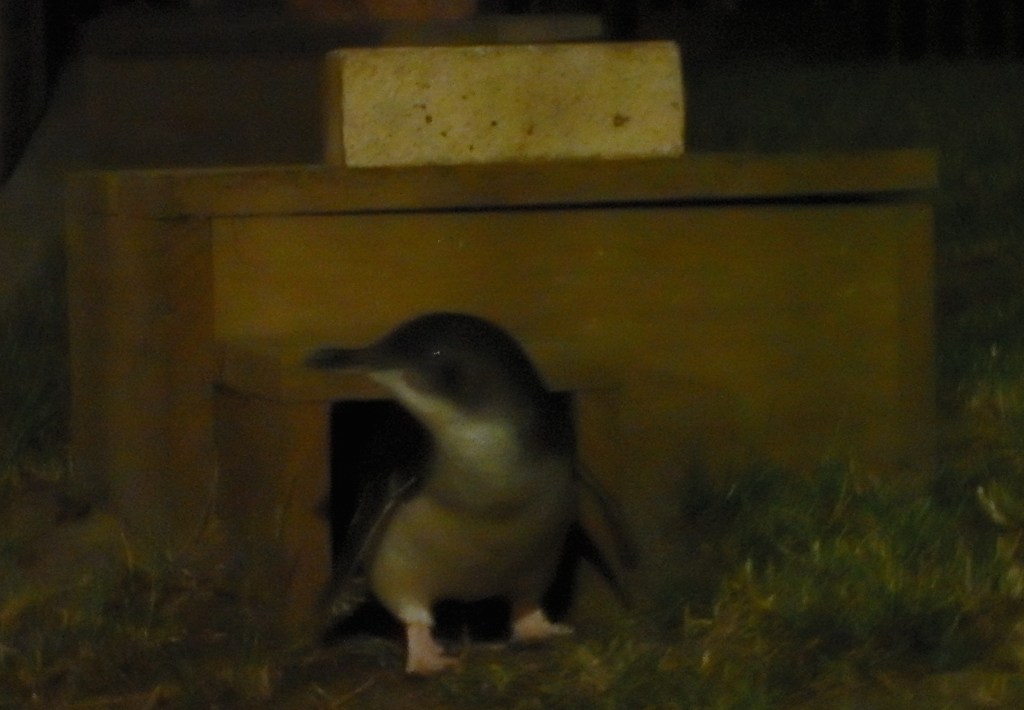 Ceci n'est pas une photo de Riri.