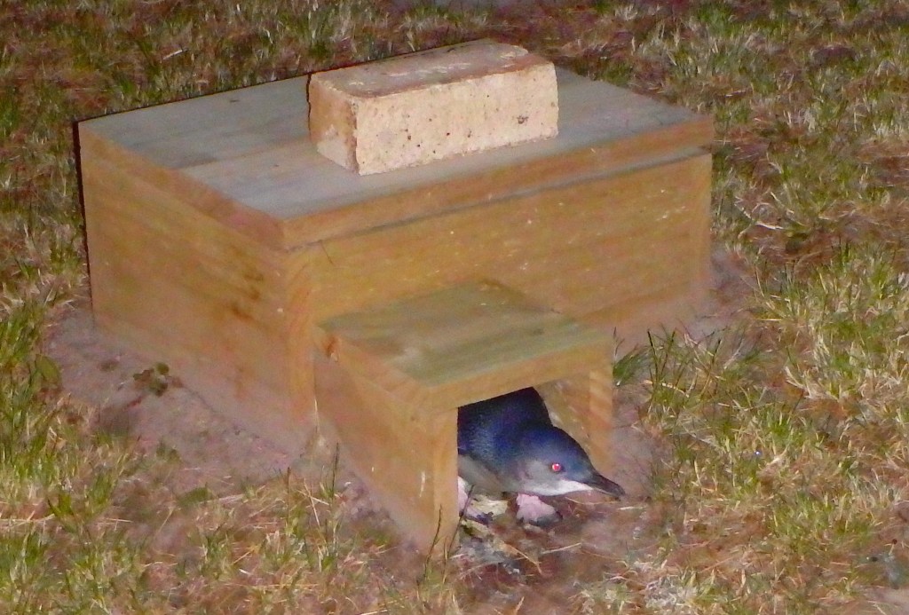 Ceci non plus d'ailleurs