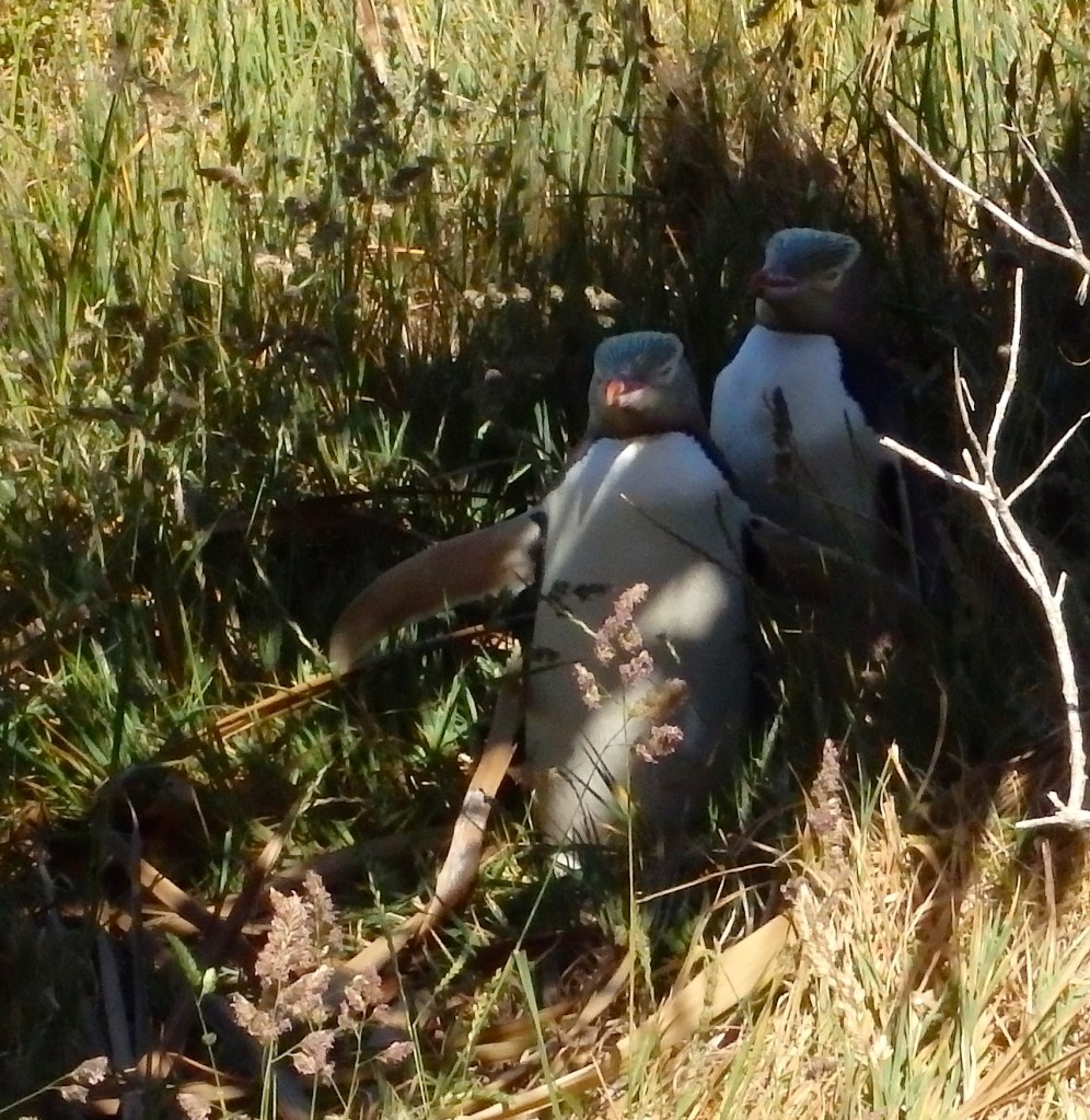 Il faudra me passer sur le corps !