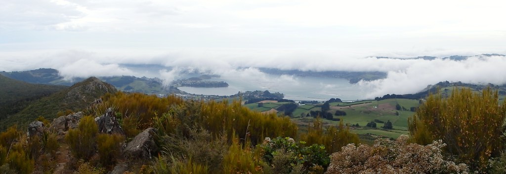 Péninsule : seconde tentative.