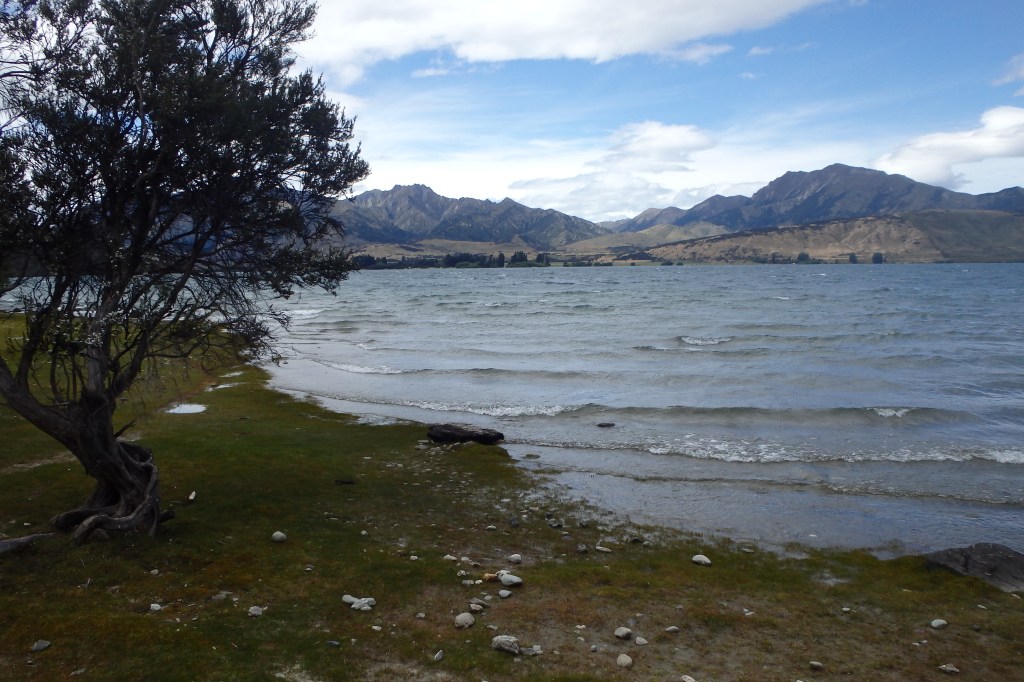 Pelouse au bord de l'eau