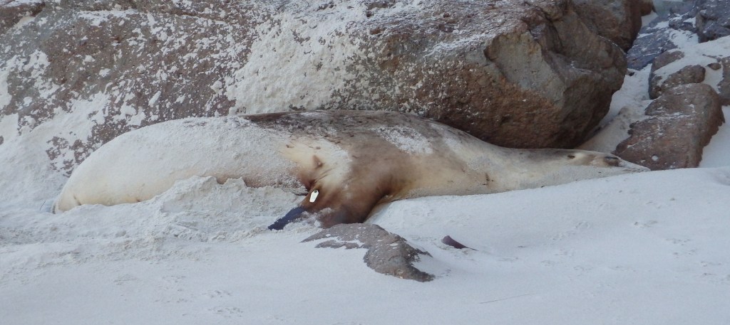 Et hop, ni vu, ni connu, je me suis retourné ! Allez, je me rendors.
