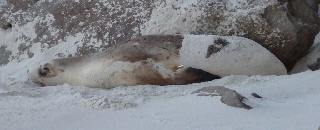 Merde, on me regarde !