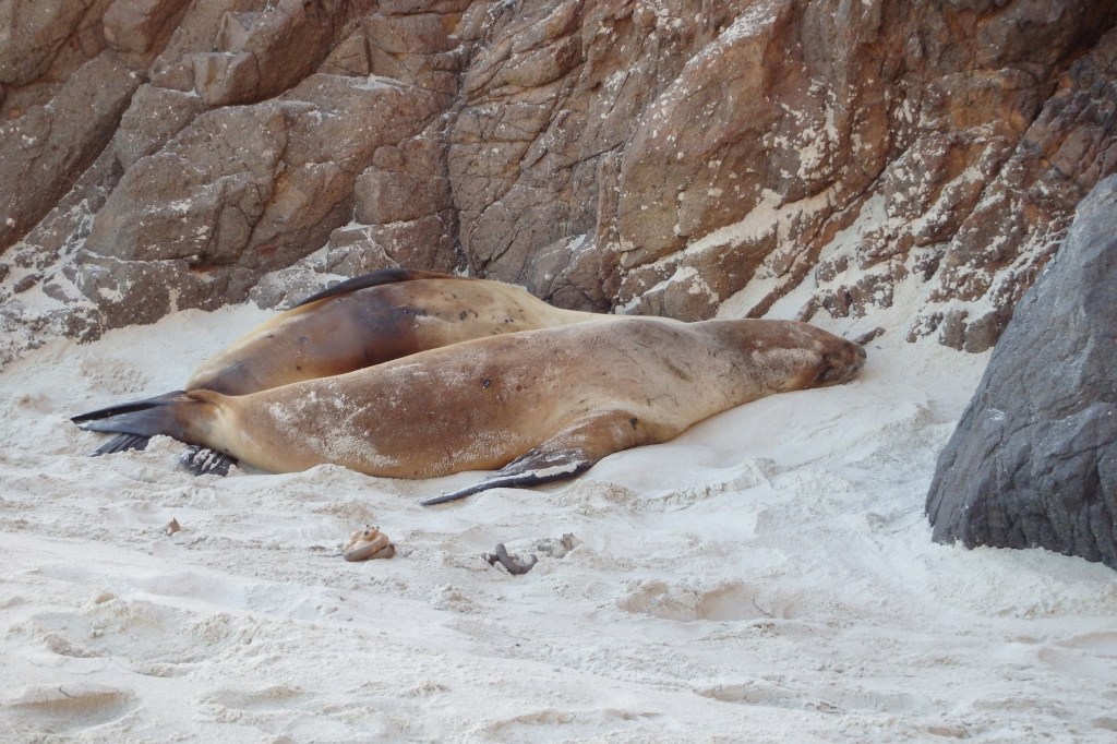Chéri, tu m'écrases.