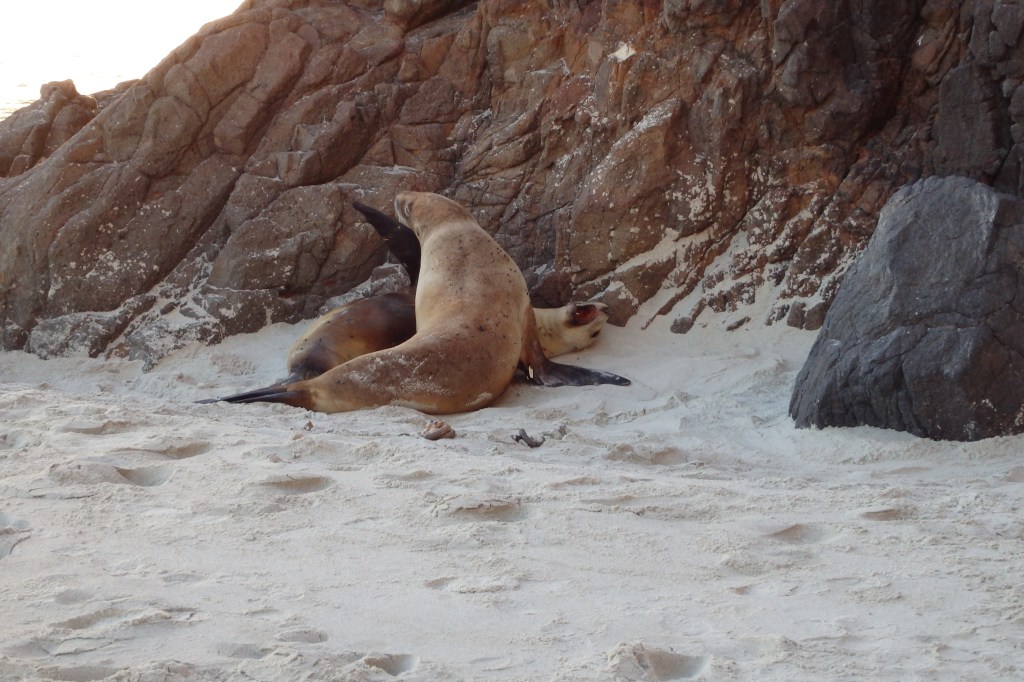 Roh, arrêtes de me souler avec tout ce bruit !