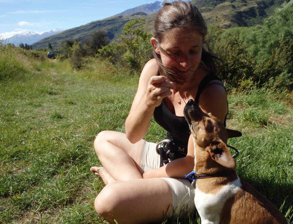 Enjoy roc climbing in Wanaka