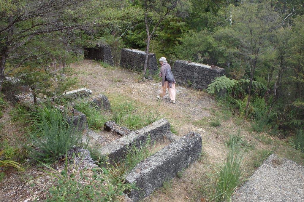 Imaginer la vie passée