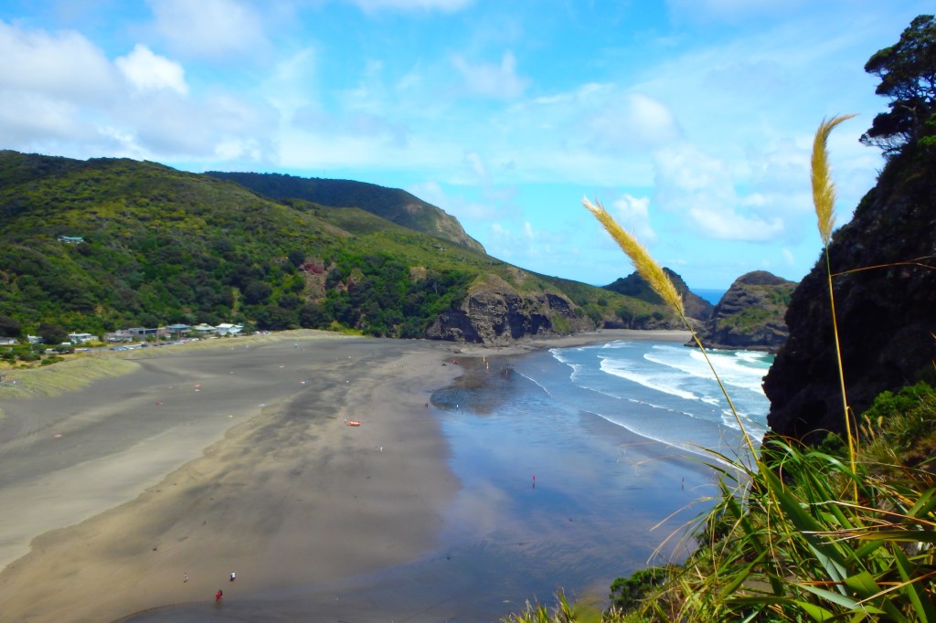 Busy Piha