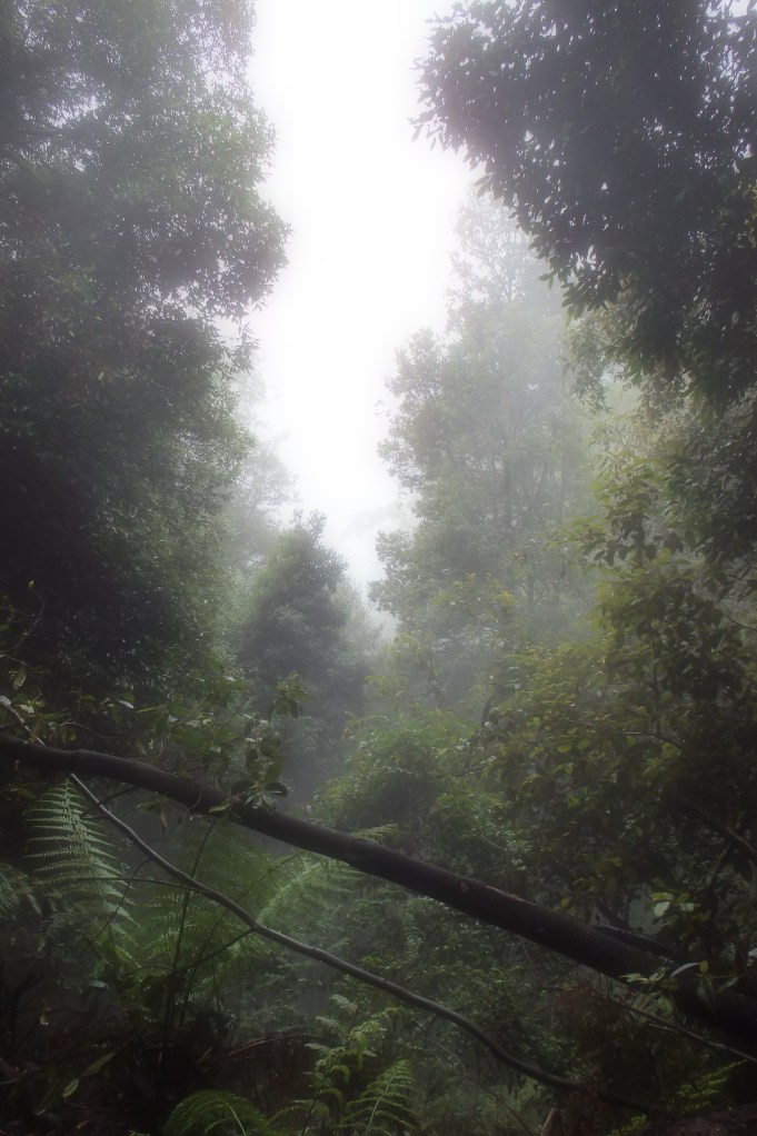 Mystical 
