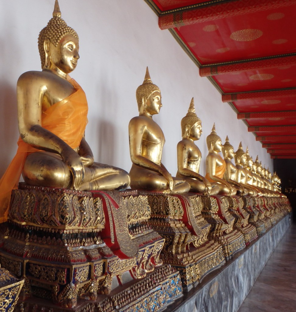 Chose your favorite one