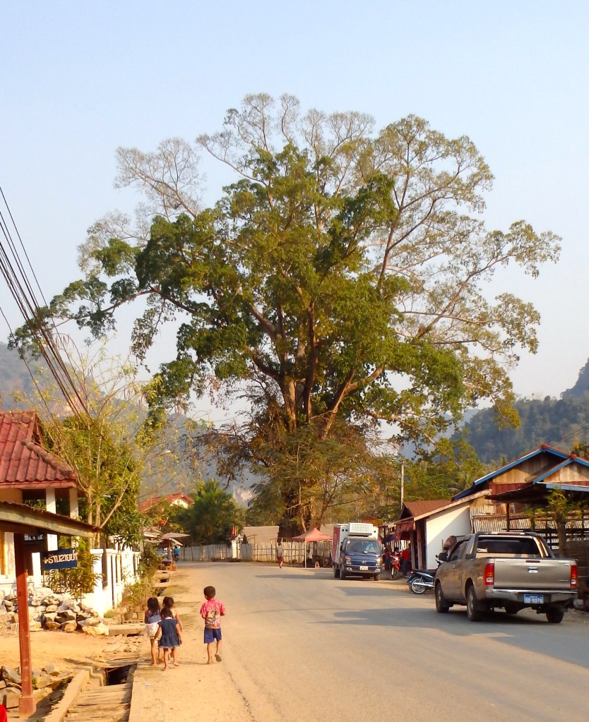 Lao road