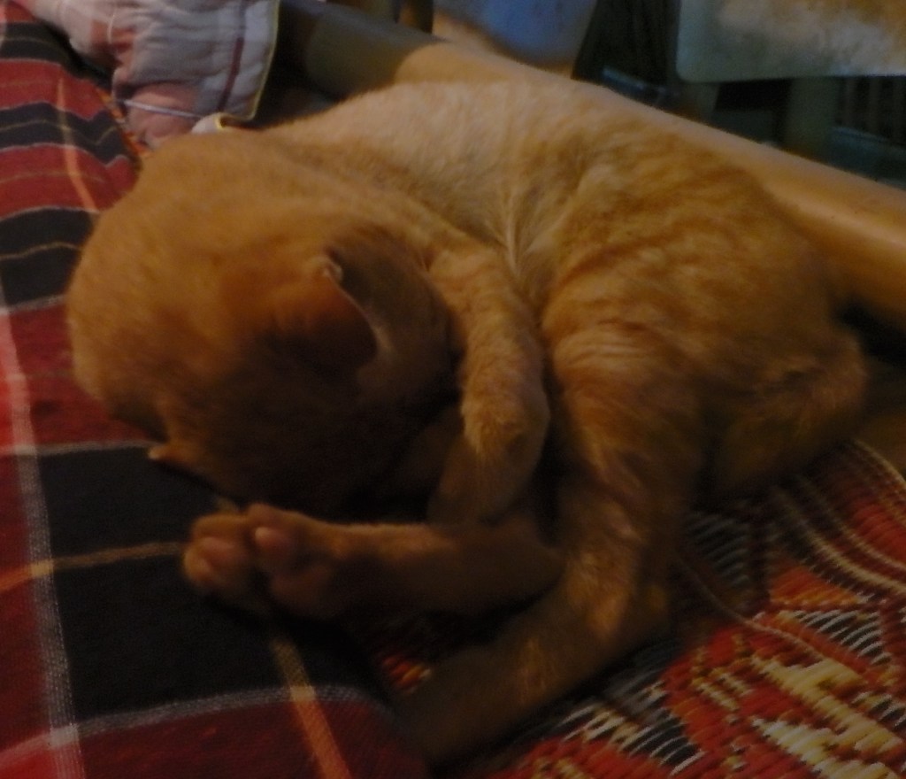 I don't want to see you or talk to you !