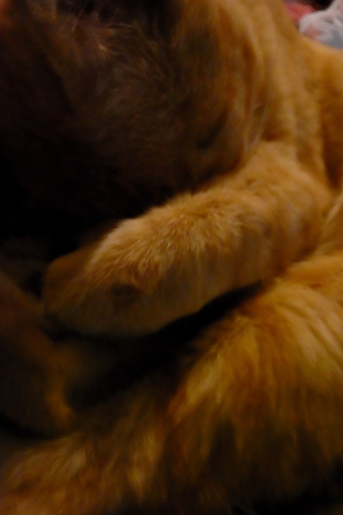 No need to insist, I won't move !