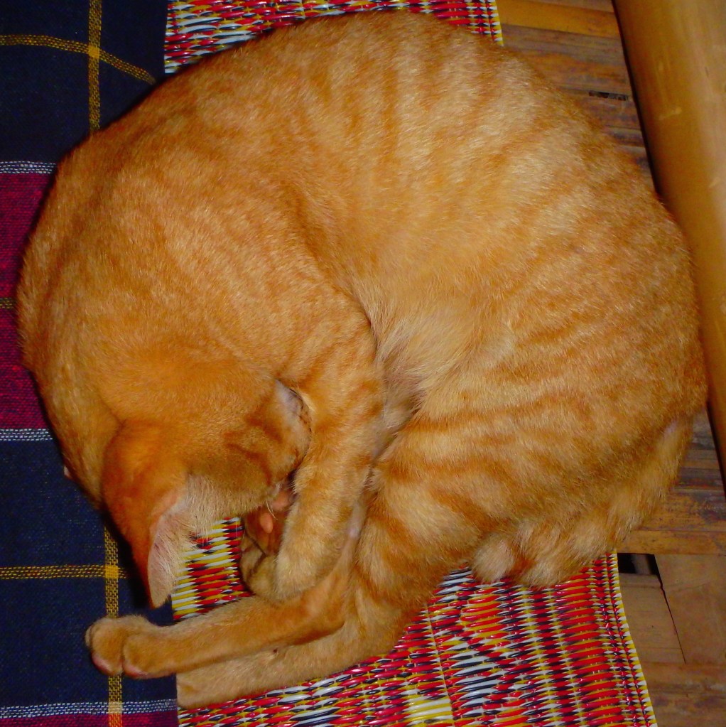 Go to hell, I want to sleep !