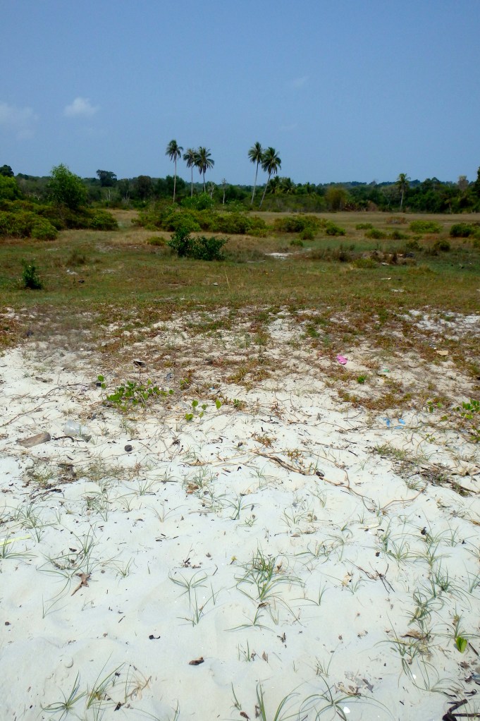 That's where we come from