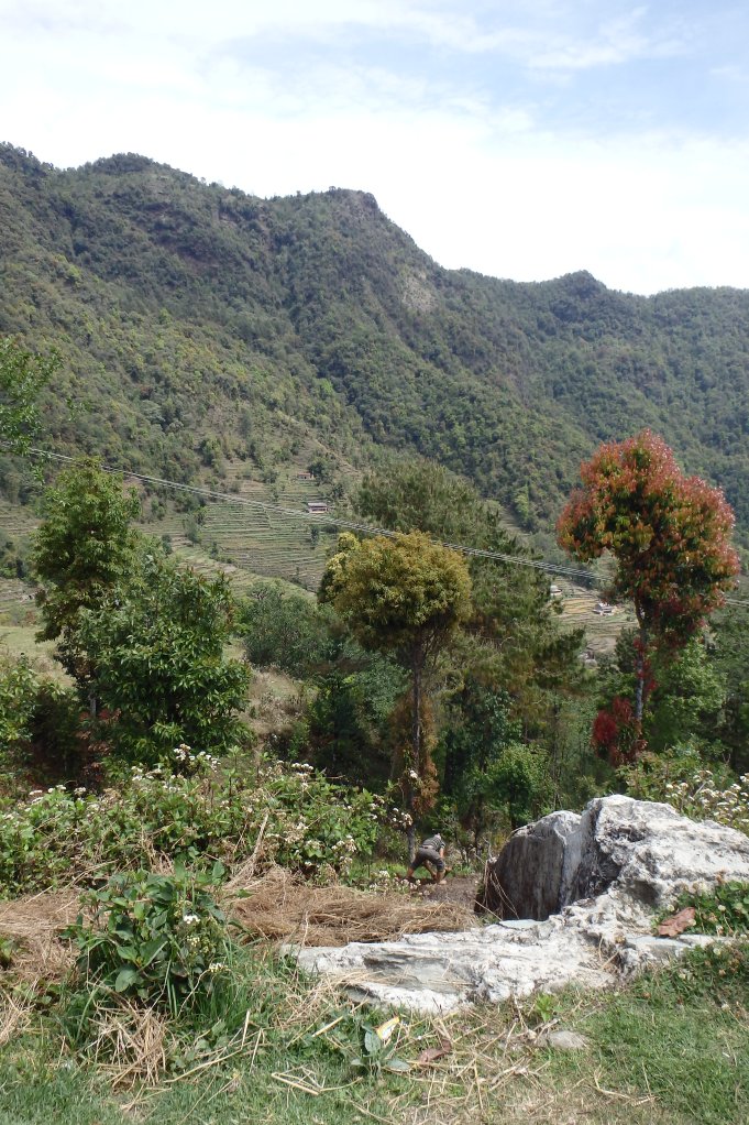 Australian Camp from downstairs