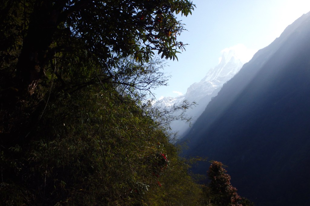 After the rain, the Fishtail glows again