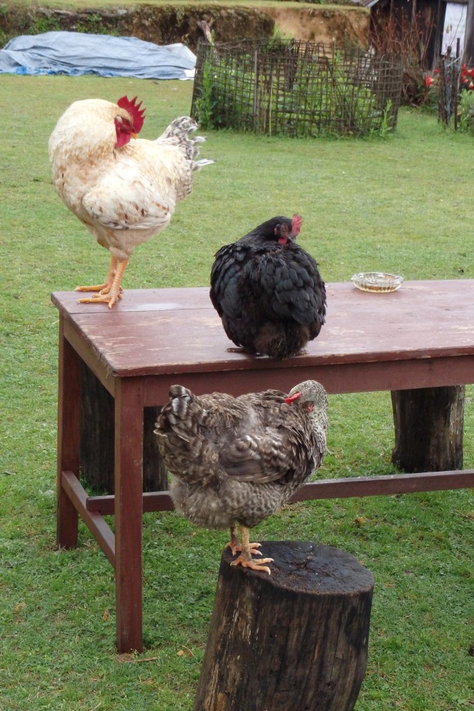 For us, everything is ok