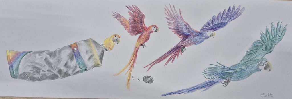 Quelques productions de début&nbsp;d’année